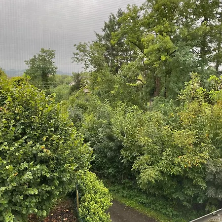 Séjour chez l'habitant Hofamhohlebach *