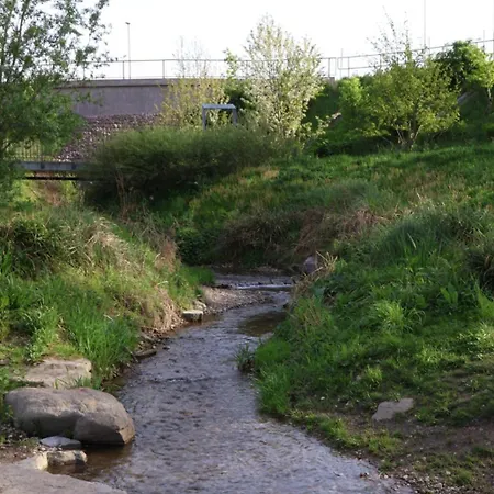 Hofamhohlebach