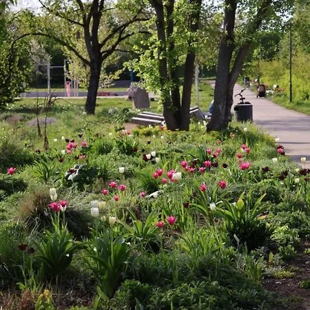 Séjour chez l'habitant Hofamhohlebach
